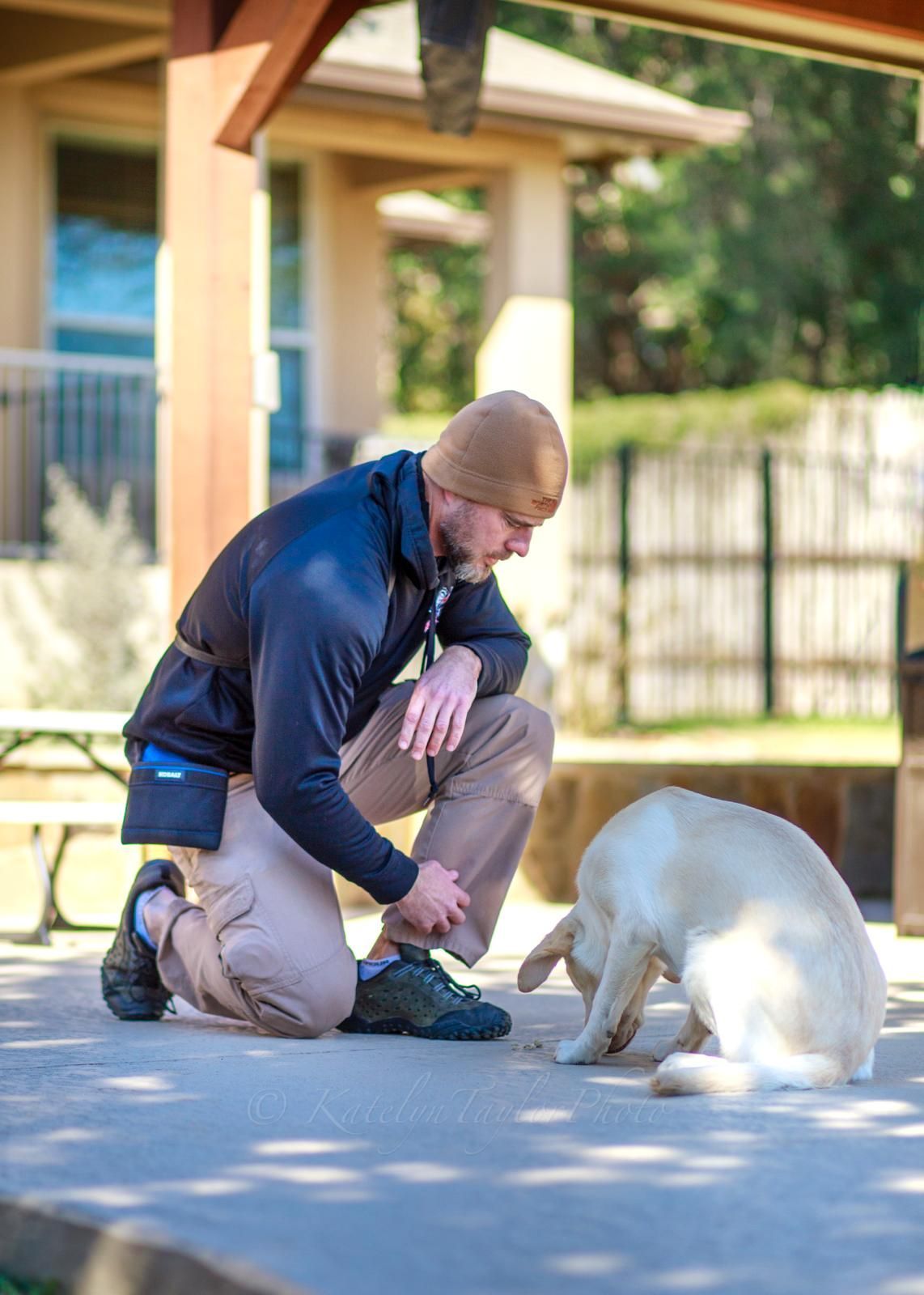Man kneeling, training yellow lab. Outdoors, under a shaded structure.