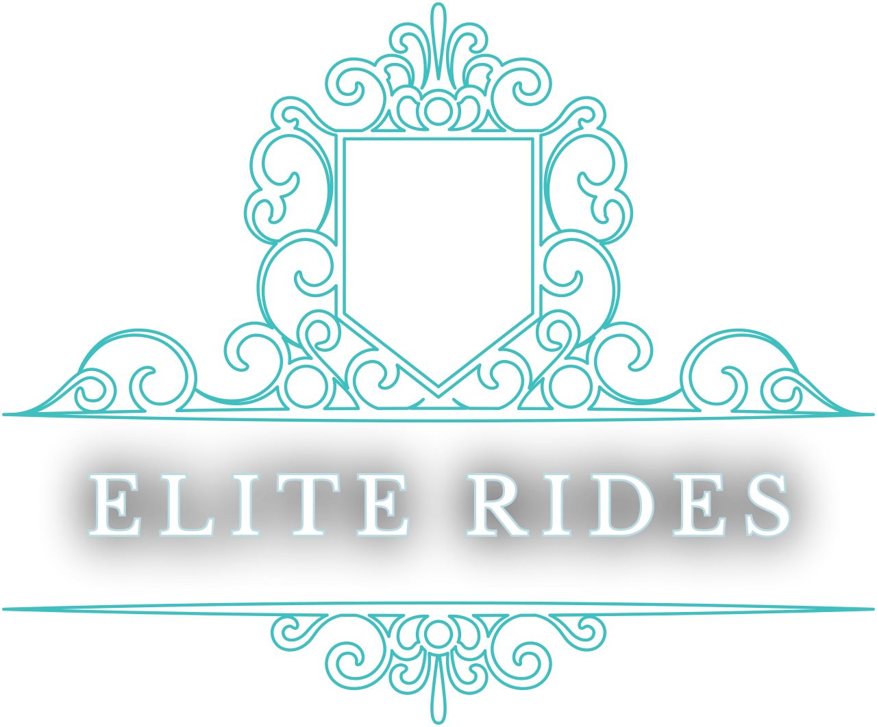 Elite RIdes Party Bus Limo Wheeling WV