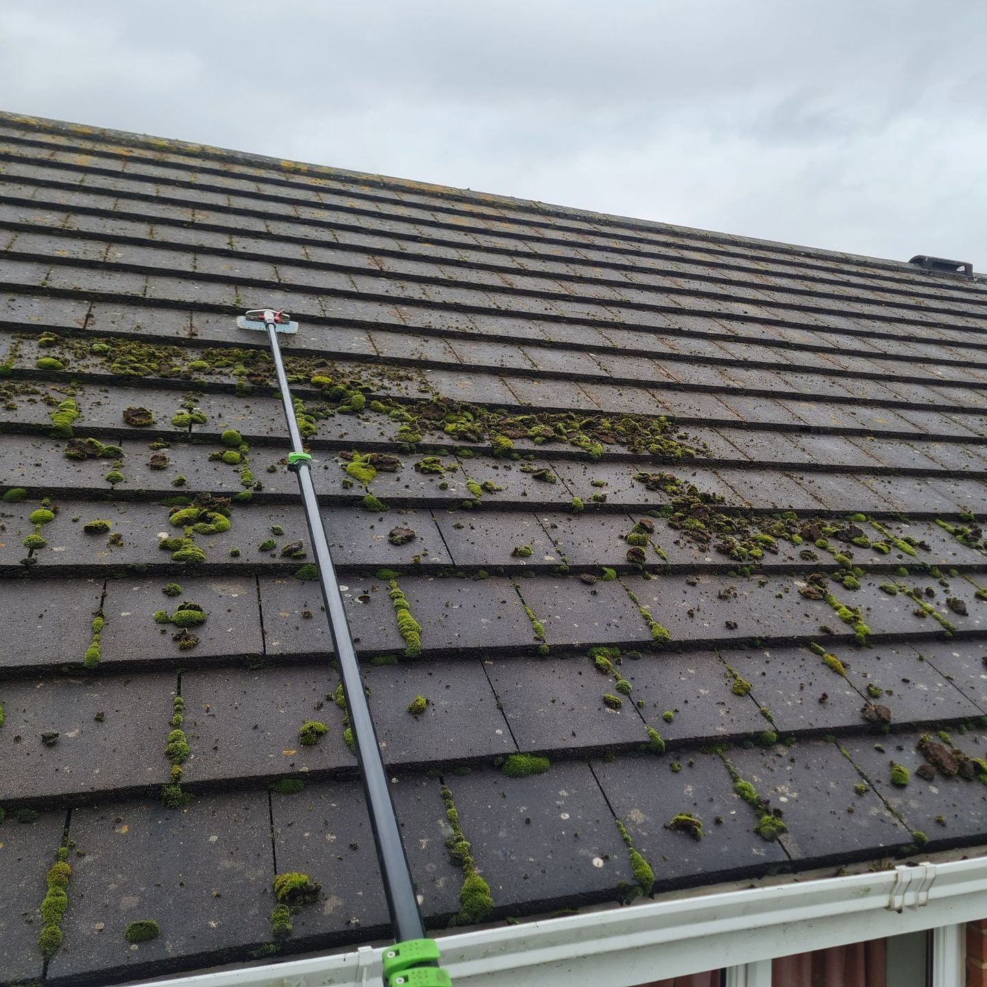 gutter ice dam removal near twin cities mn