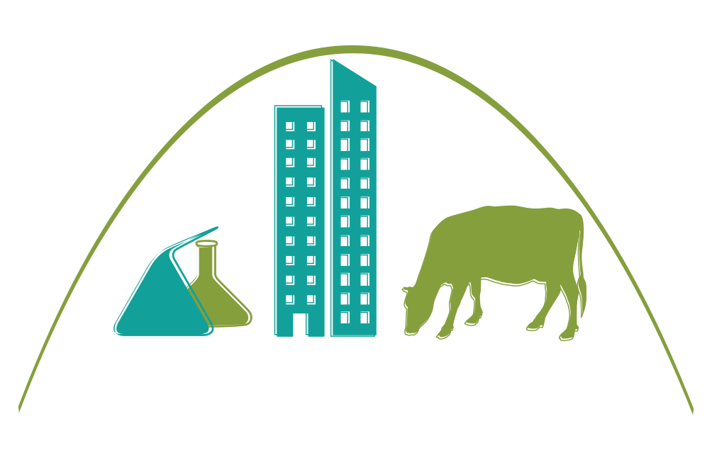 Birillo logo