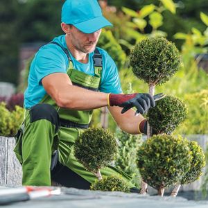 Decorative Plants Trimming — Pleasant Hill, MO — Branched Out LLC