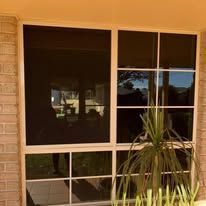 A large white-framed window on a brick wall, featuring dark mesh screens and decorative grid panes, with a plant in front.