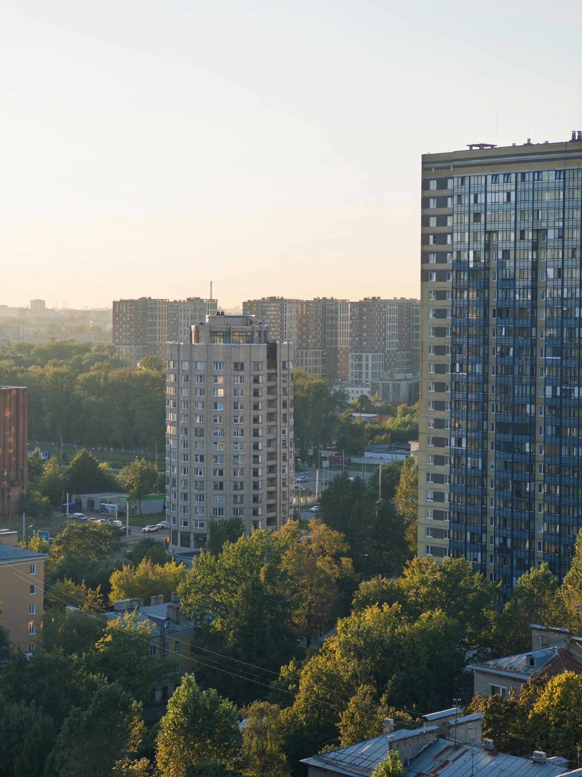 Skyscrapers and palm trees in Miami, Florida, on a sunny day.