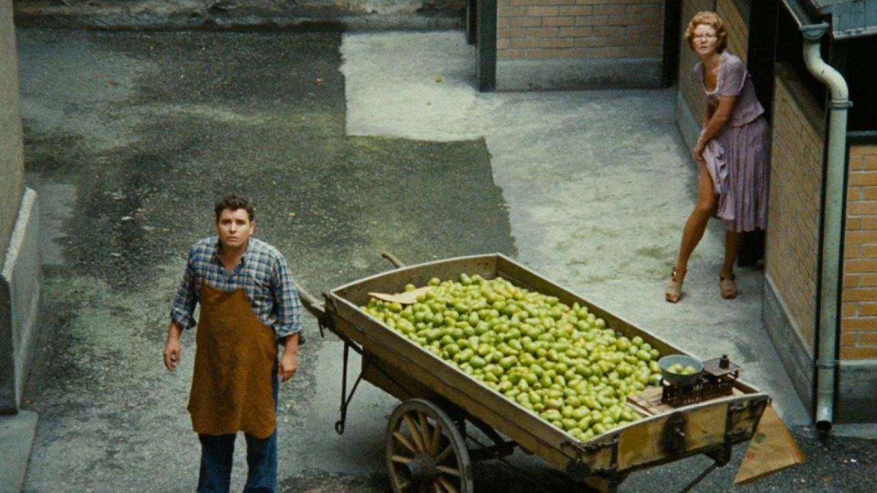 'O Mercador das Quatro Estações'