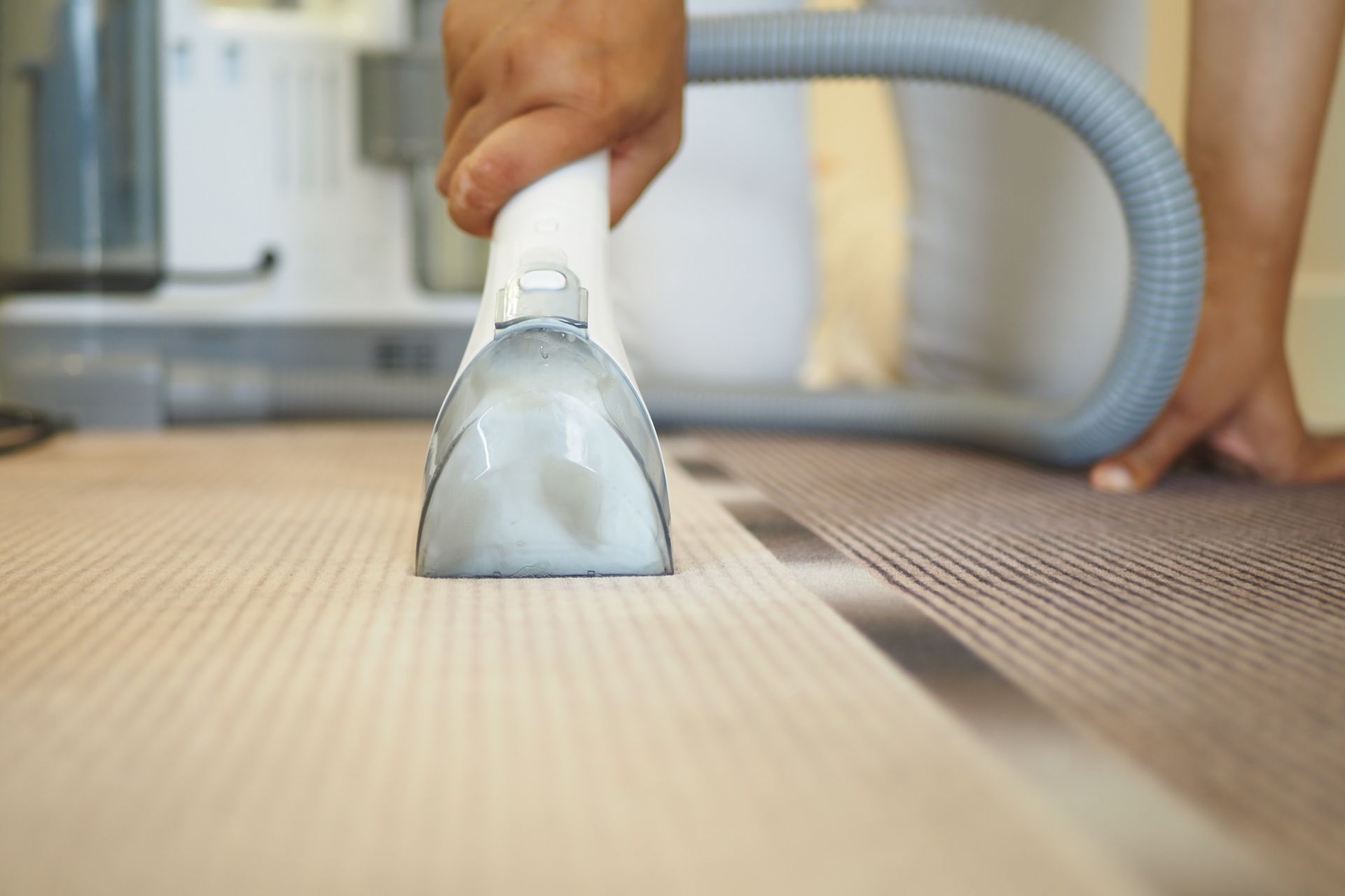 A person is using a vacuum cleaner to clean a carpet.