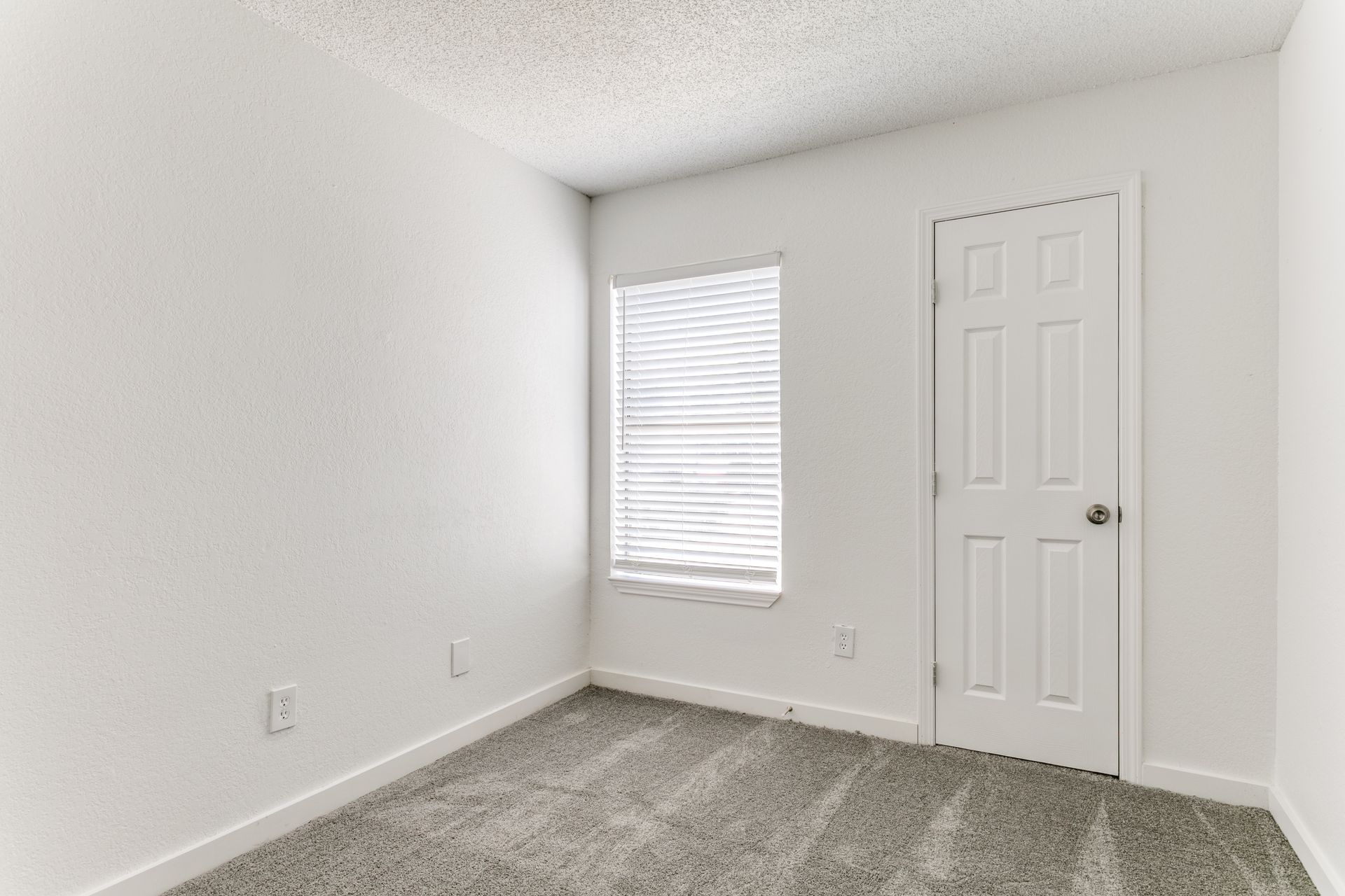 Empty white-walled room with a window, door, and gray carpet.