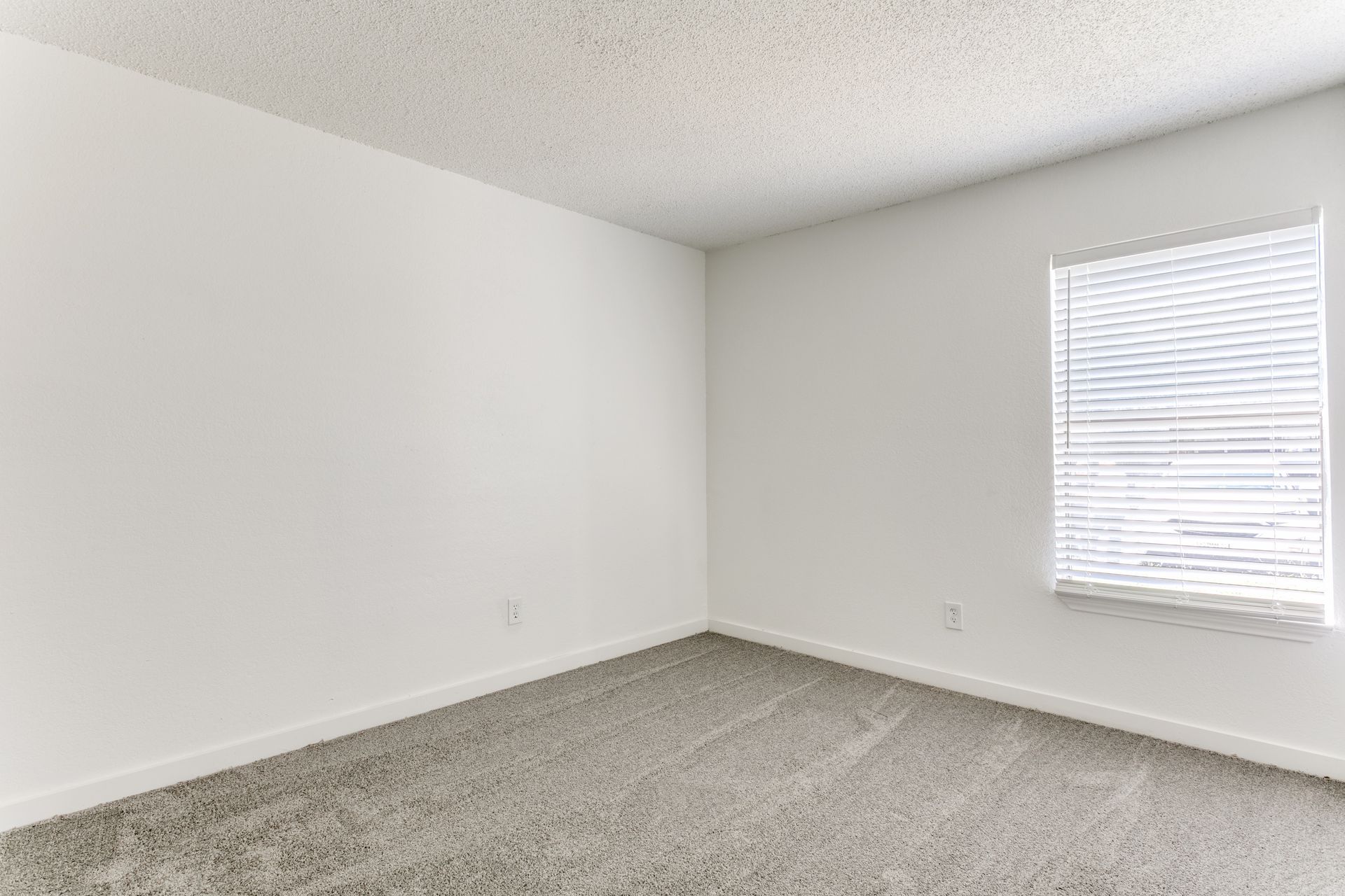 Empty room with white walls, carpeted floor, and a window with blinds.