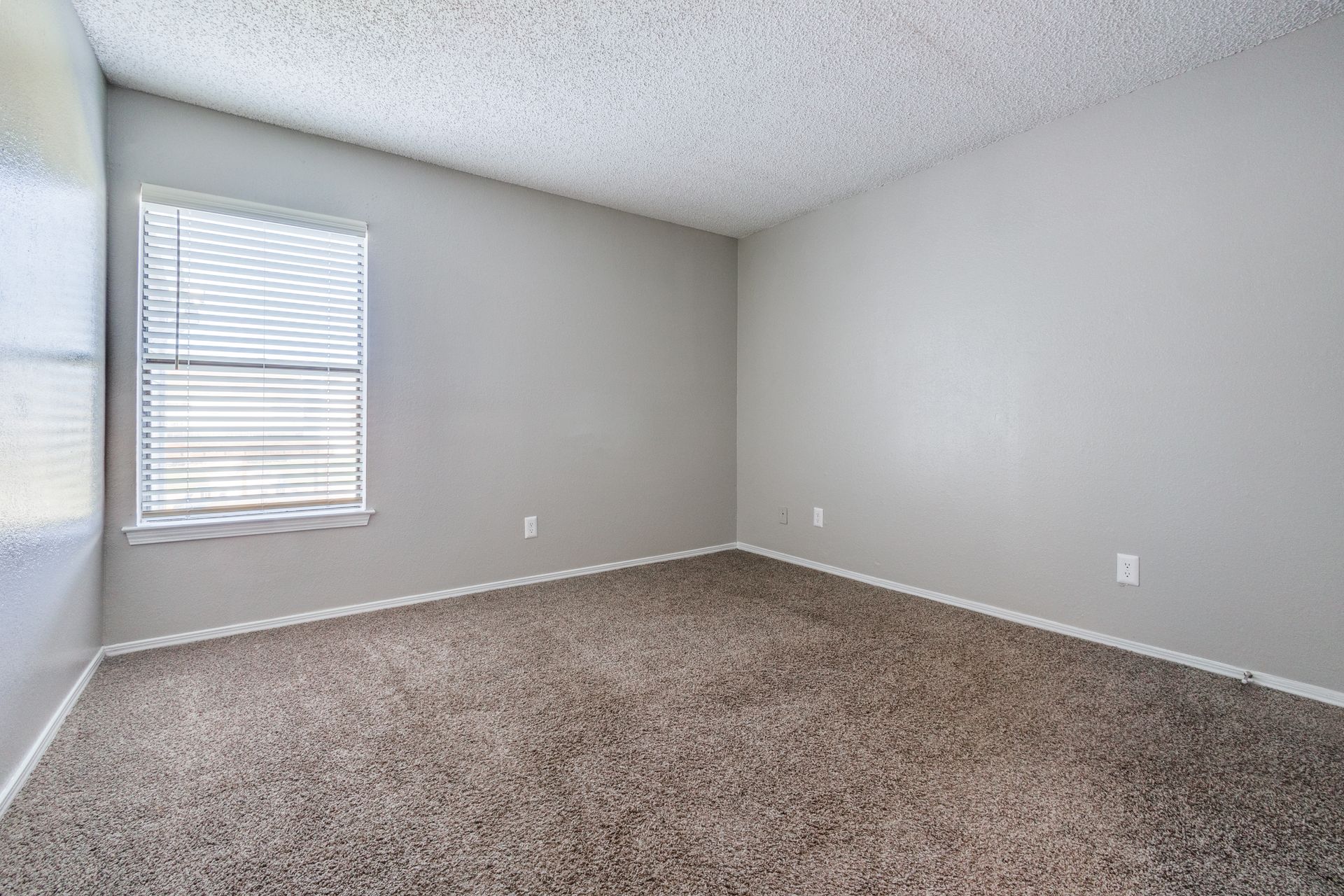 Empty room with gray walls, window with blinds, and brown carpet.