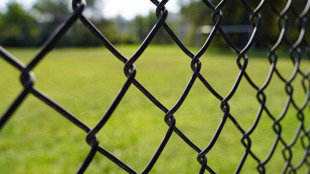Black Chain-link Fence in Close-up, Framing a Blurred Green Field in the Background — Capital Fencing in Tuggeranong, ACT