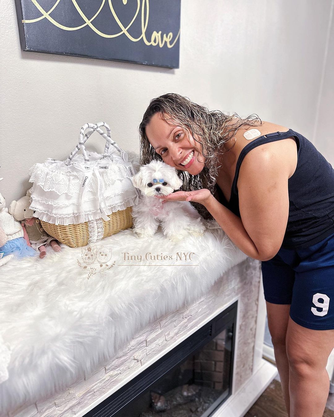 Micro Teacup Maltese — Astronia Queens, NY — Tiny Cuties NYC
