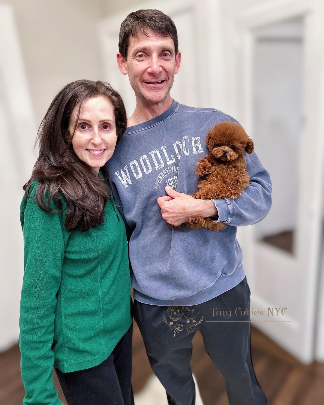 Micro Teacup Poodle — Astronia Queens, NY — Tiny Cuties NYC
