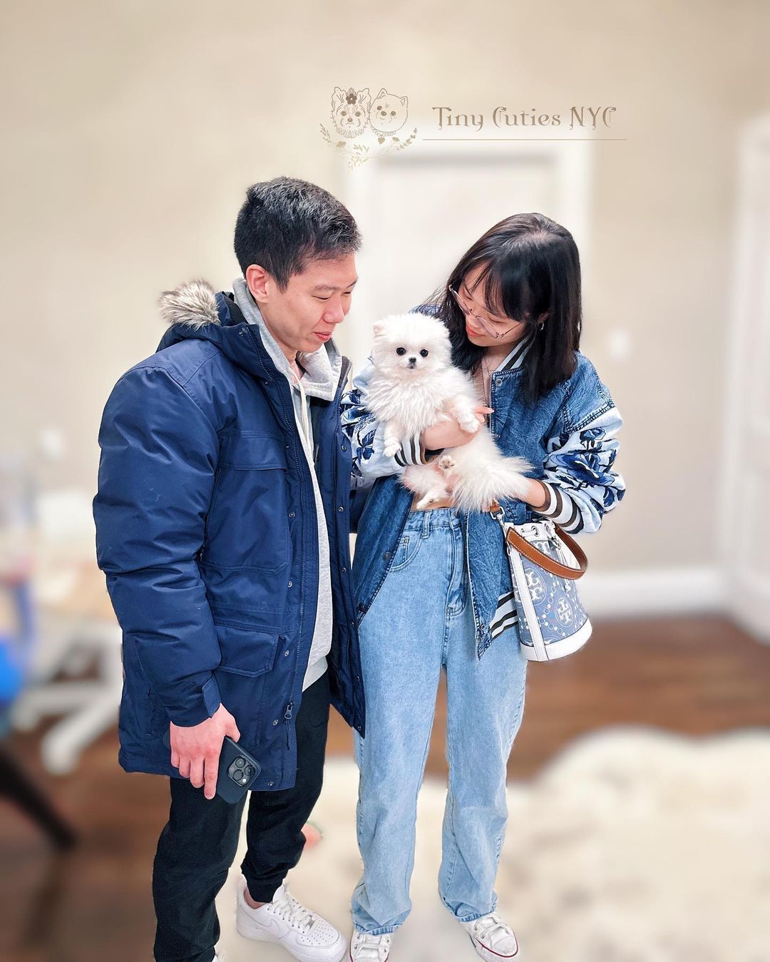 Micro Teacup Pomeranian — Astronia Queens, NY — Tiny Cuties NYC