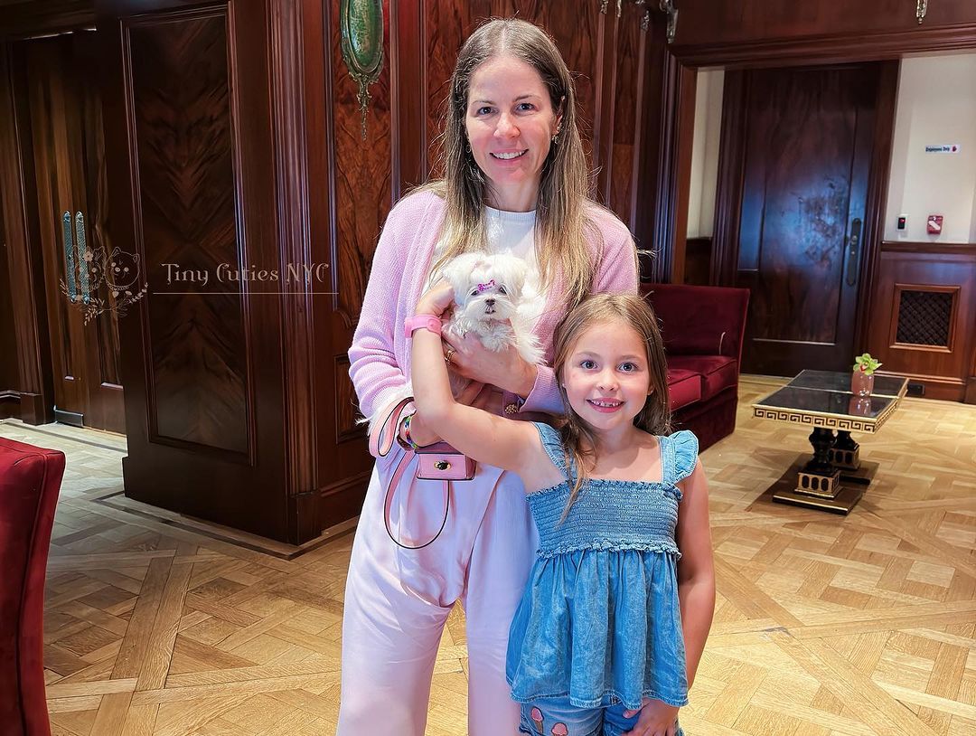 Micro Teacup Maltese— Astronia Queens, NY — Tiny Cuties NYC