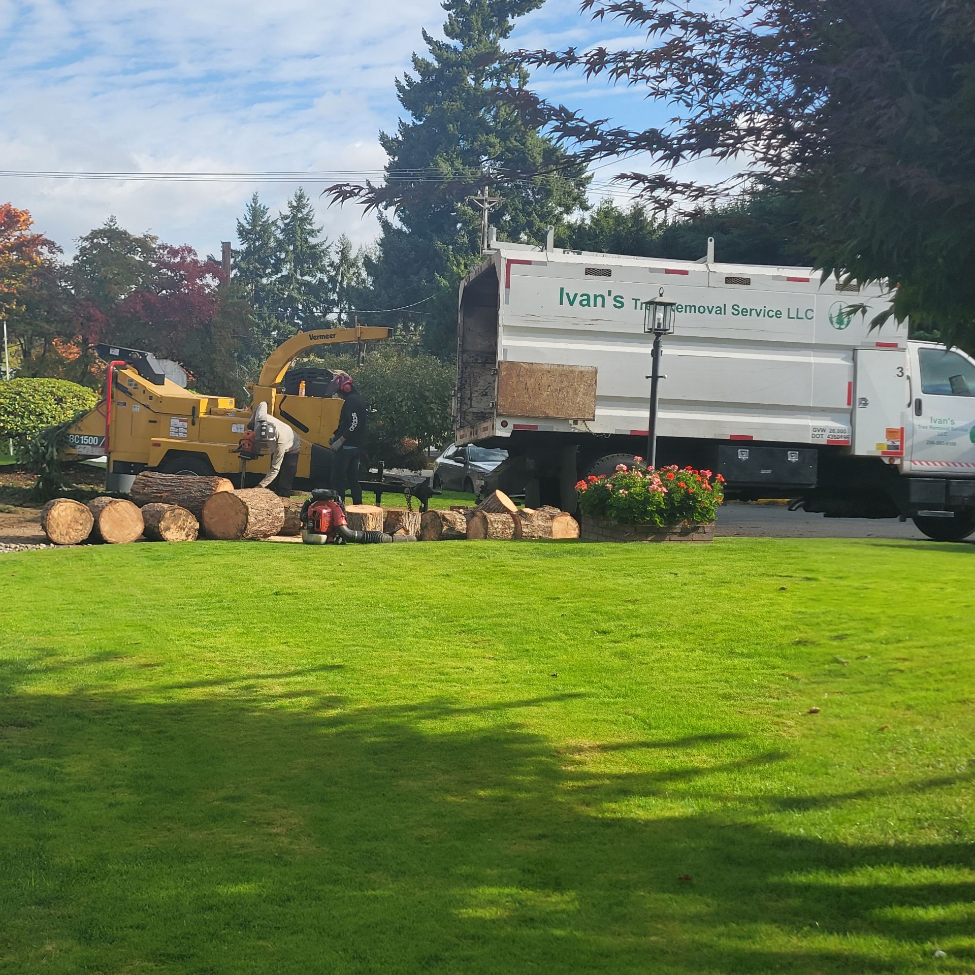 Workers operate a wood chipper and load logs into a white truck from 