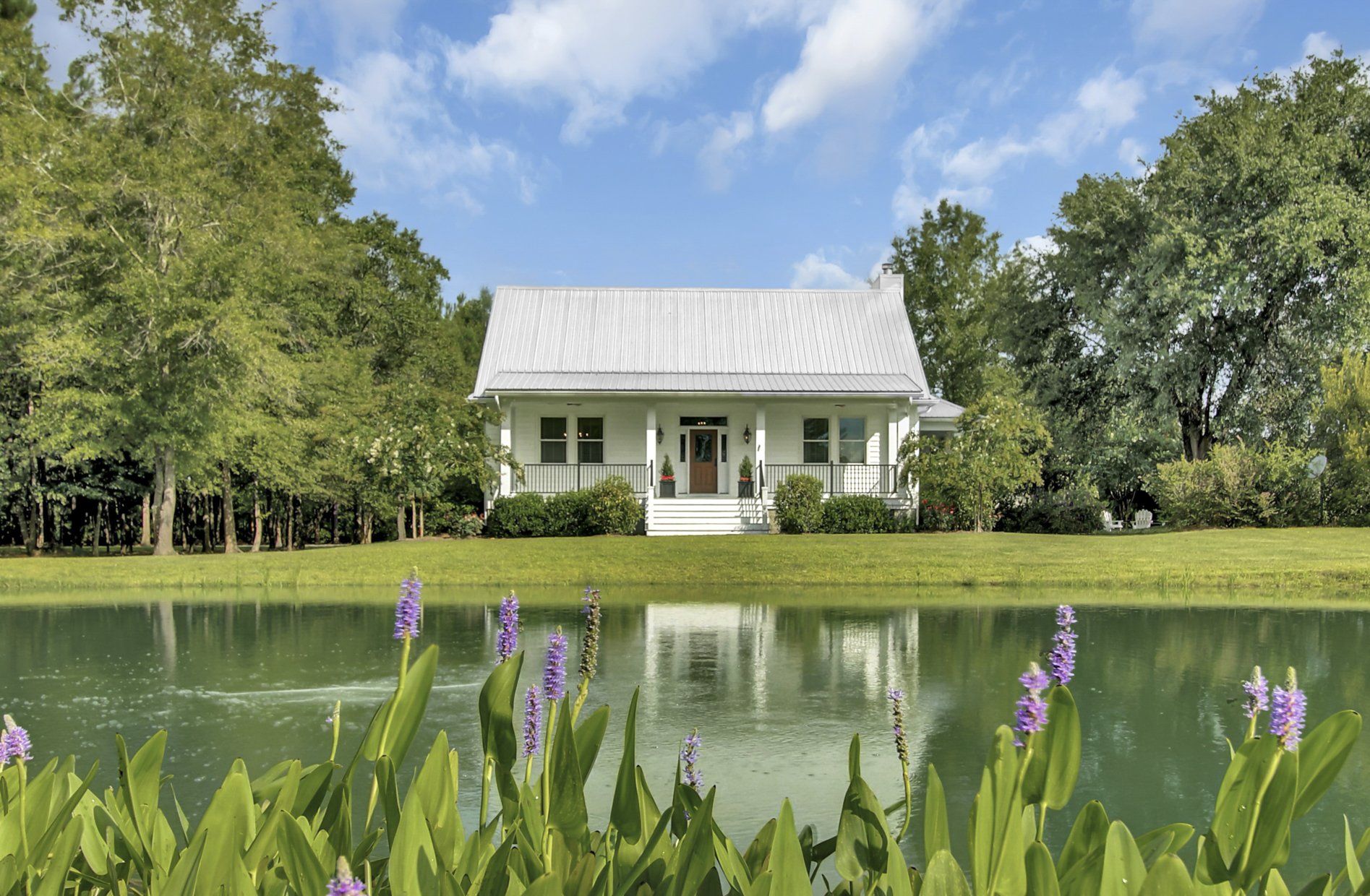 pond photography