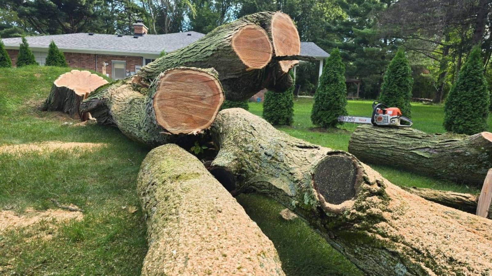 tree-service-middletown-connecticut