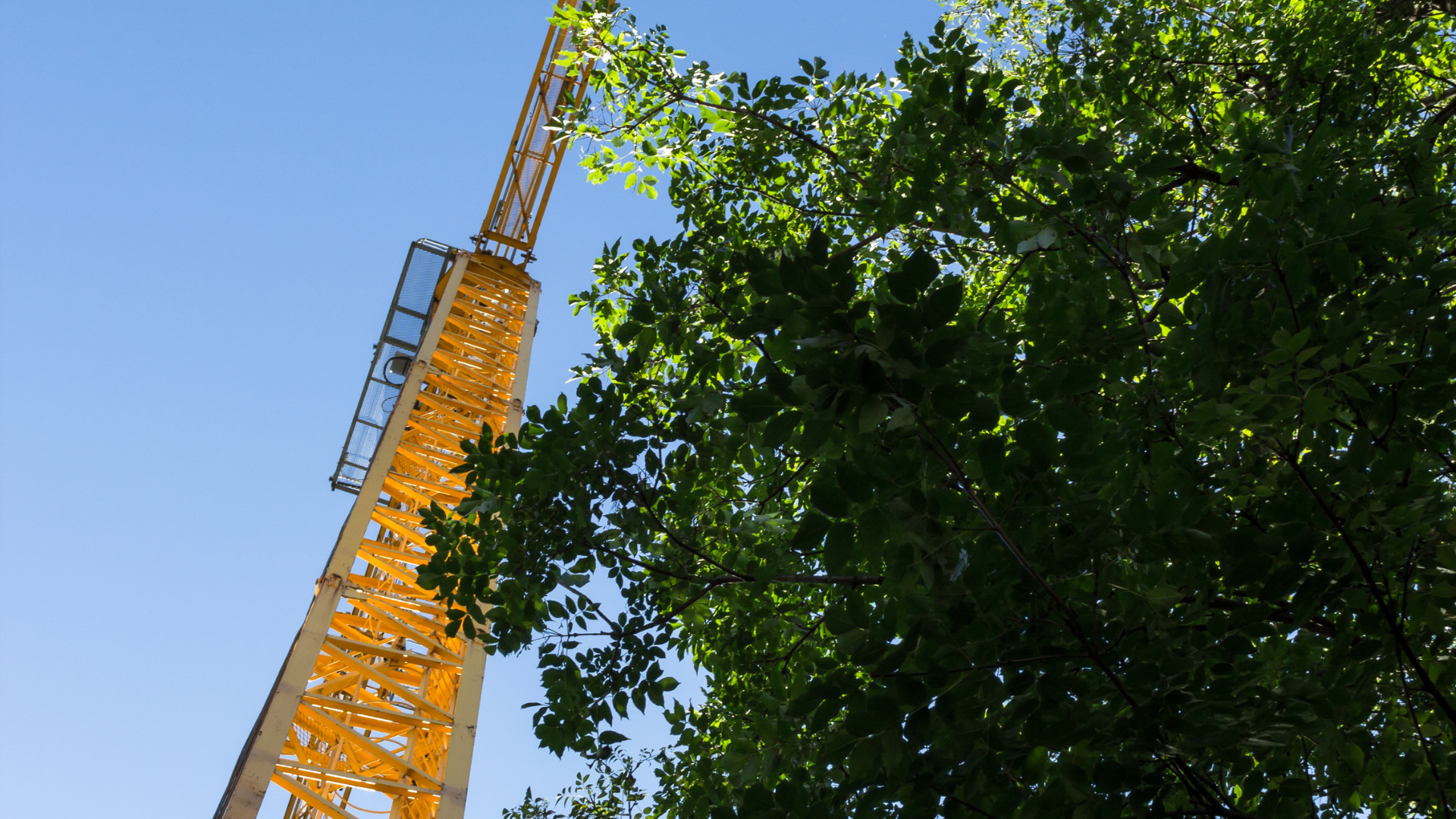 tree-service-middletown-connecticut