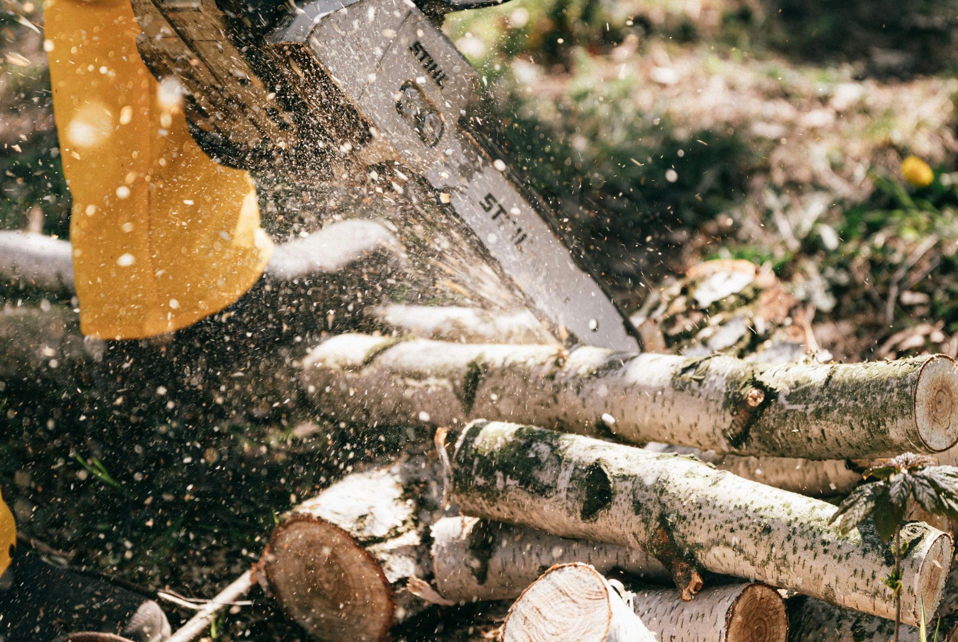 tree-service-middletown-connecticut