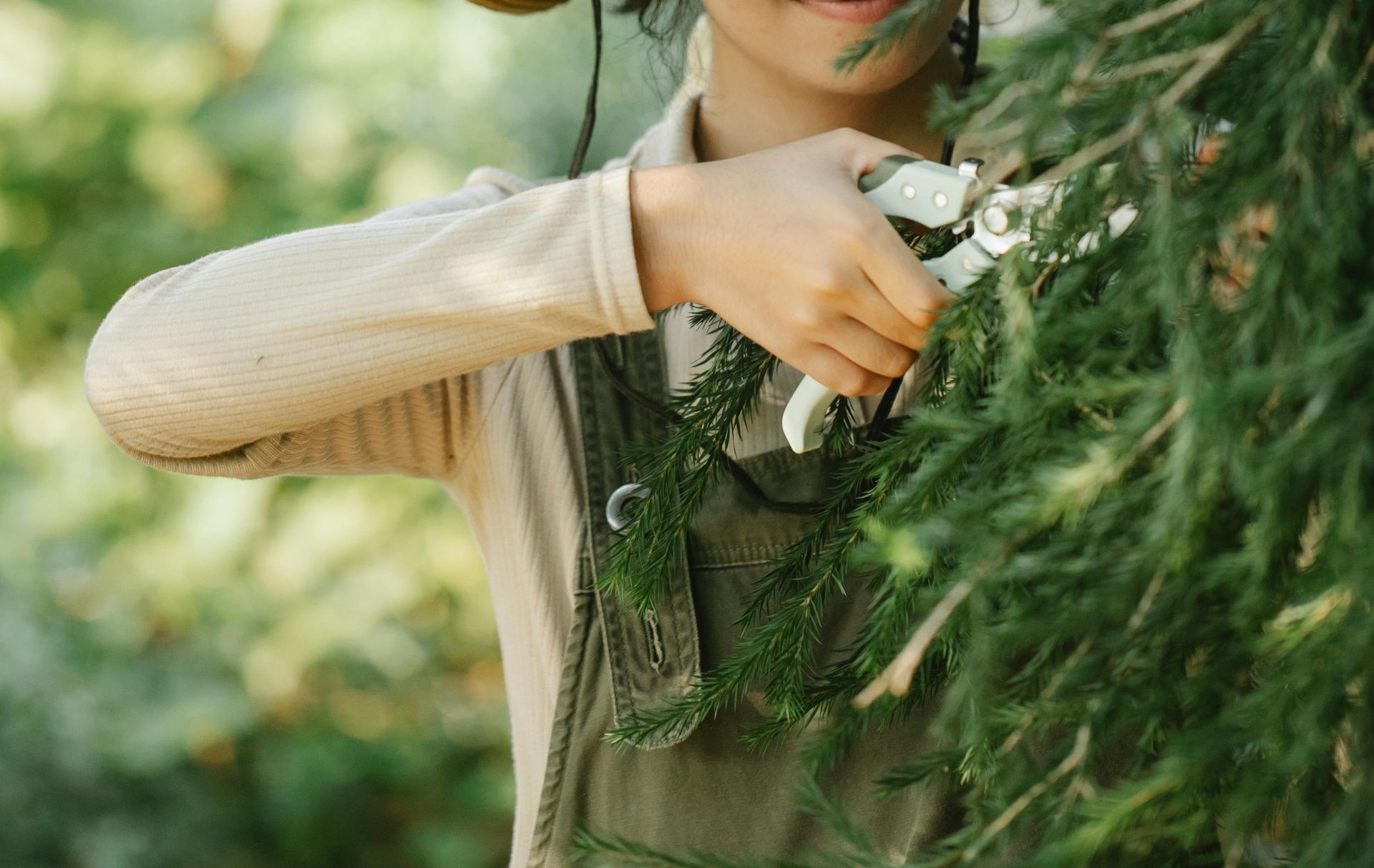 tree-service-middletown-connecticut