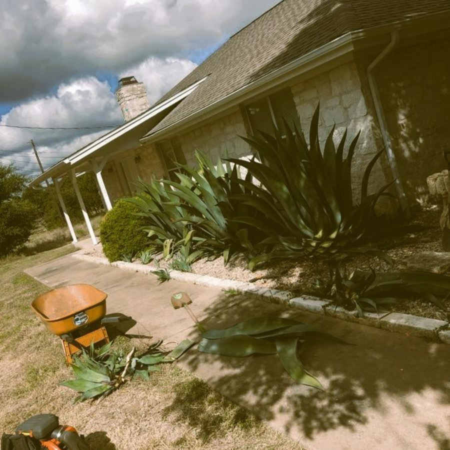 tree-service-middletown-connecticut