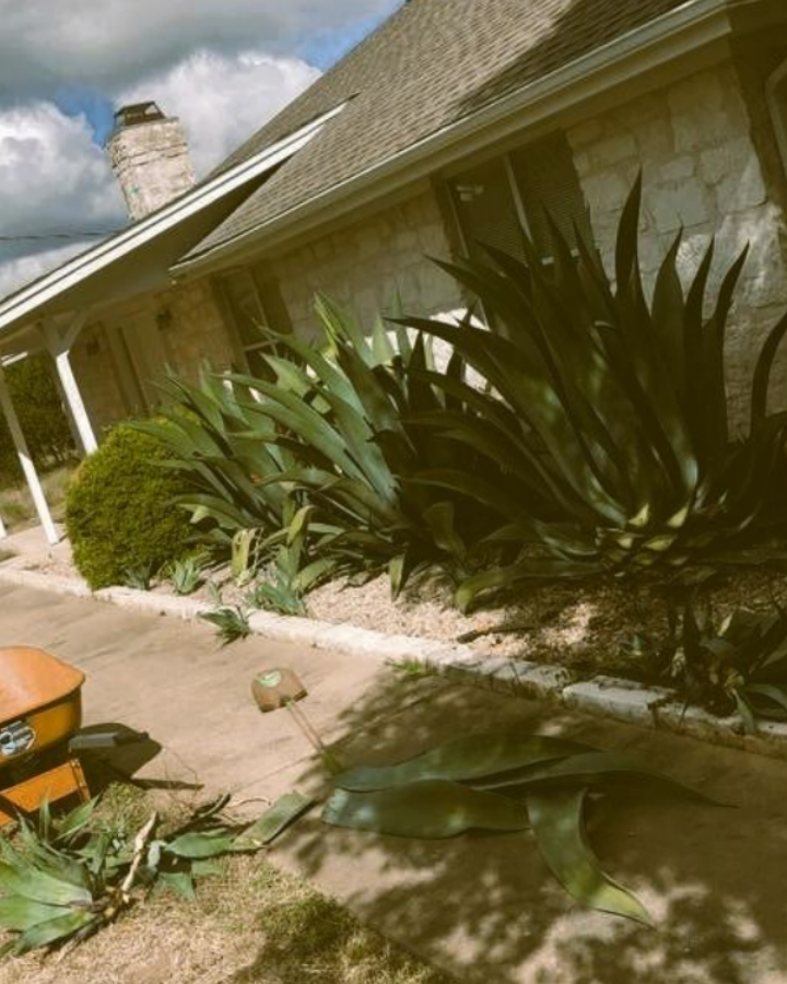 tree-service-middletown-connecticut