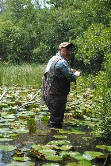 A man is standing in a pond with lily pads - Baton Rouge, LA - Coastal Environments, Inc.