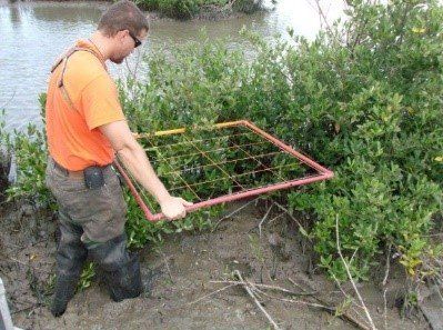 Man wearing an orange top with grass around - Baton Rouge, LA - Coastal Environments, Inc.