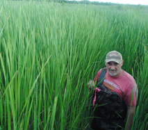 Man on tall grass - Baton Rouge, LA - Coastal Environments, Inc.