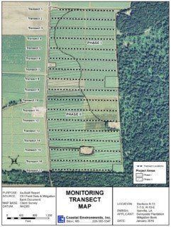 Monitoring Transect Map - Baton Rouge, LA - Coastal Environments, Inc.