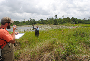 Two men are standing in the middle of a field - Baton Rouge, LA - Coastal Environments, Inc. 