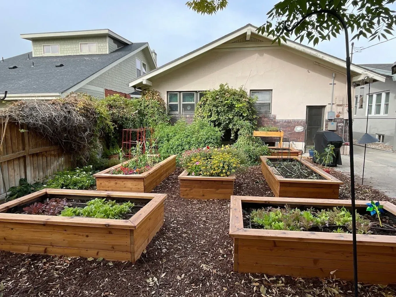 A row of wooden raised garden beds in front of a house.