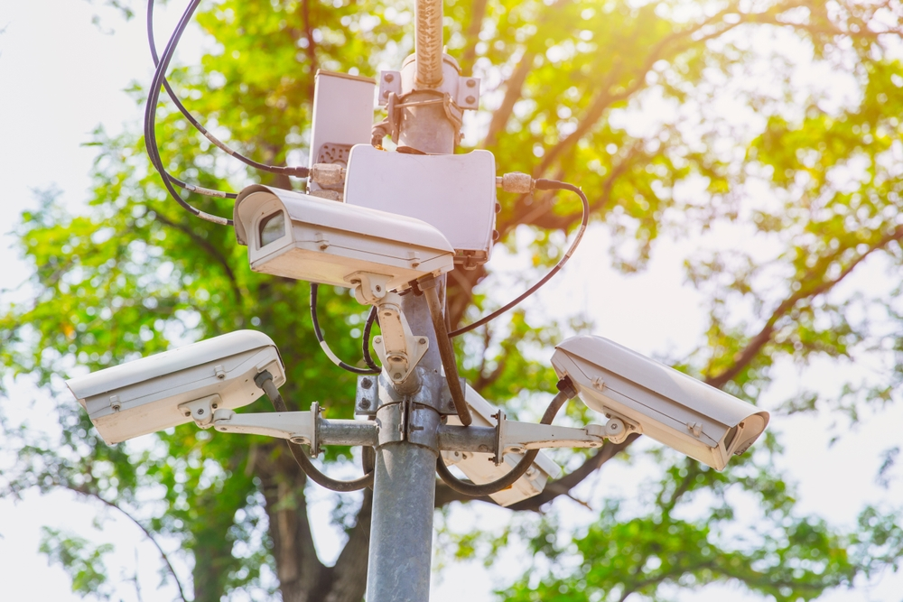 A bunch of security cameras on a pole in front of a tree.