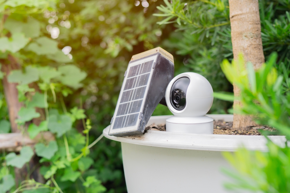 A security camera is sitting in a pot next to a solar panel.