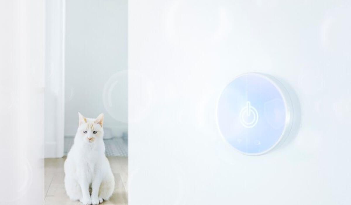 pet-safe sensor innovation
