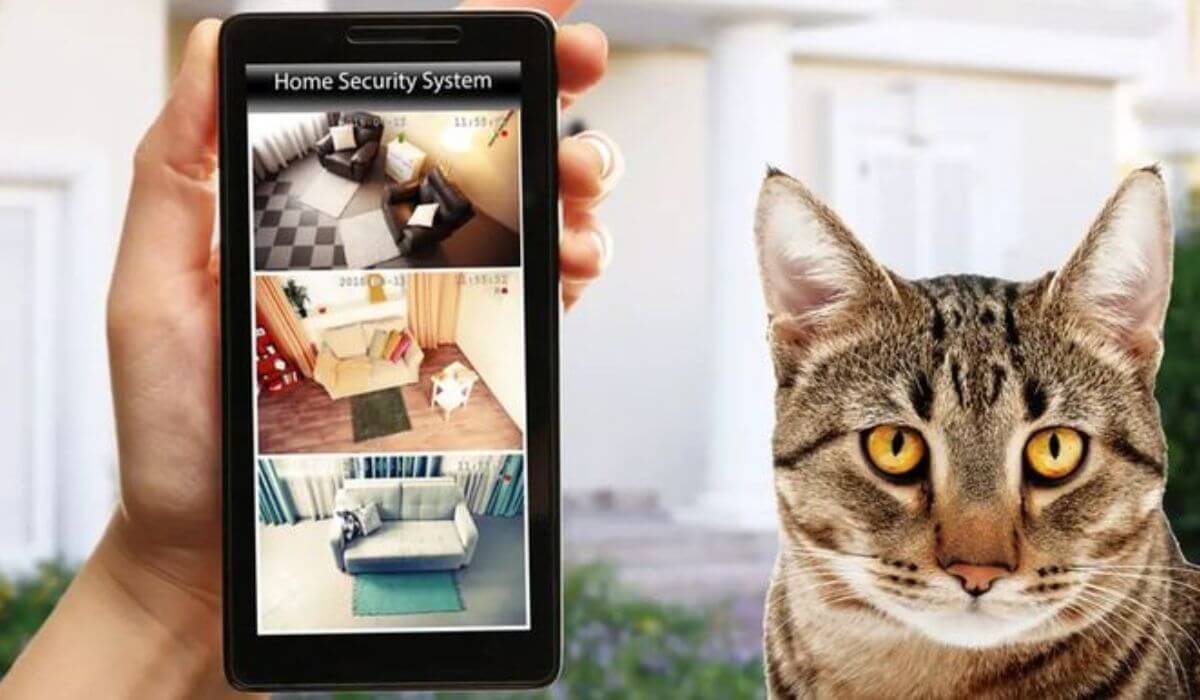 Pet-Friendly Home Security Systems Australia 2025