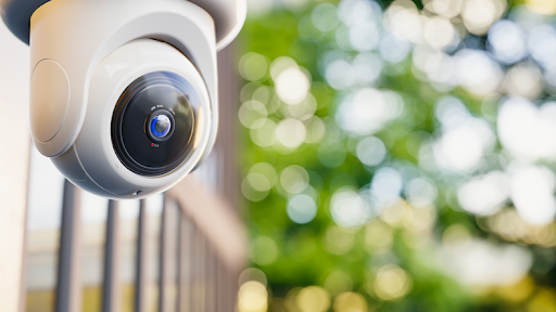 Surv Camera Guide: Best Surveillance Cameras for Home Security