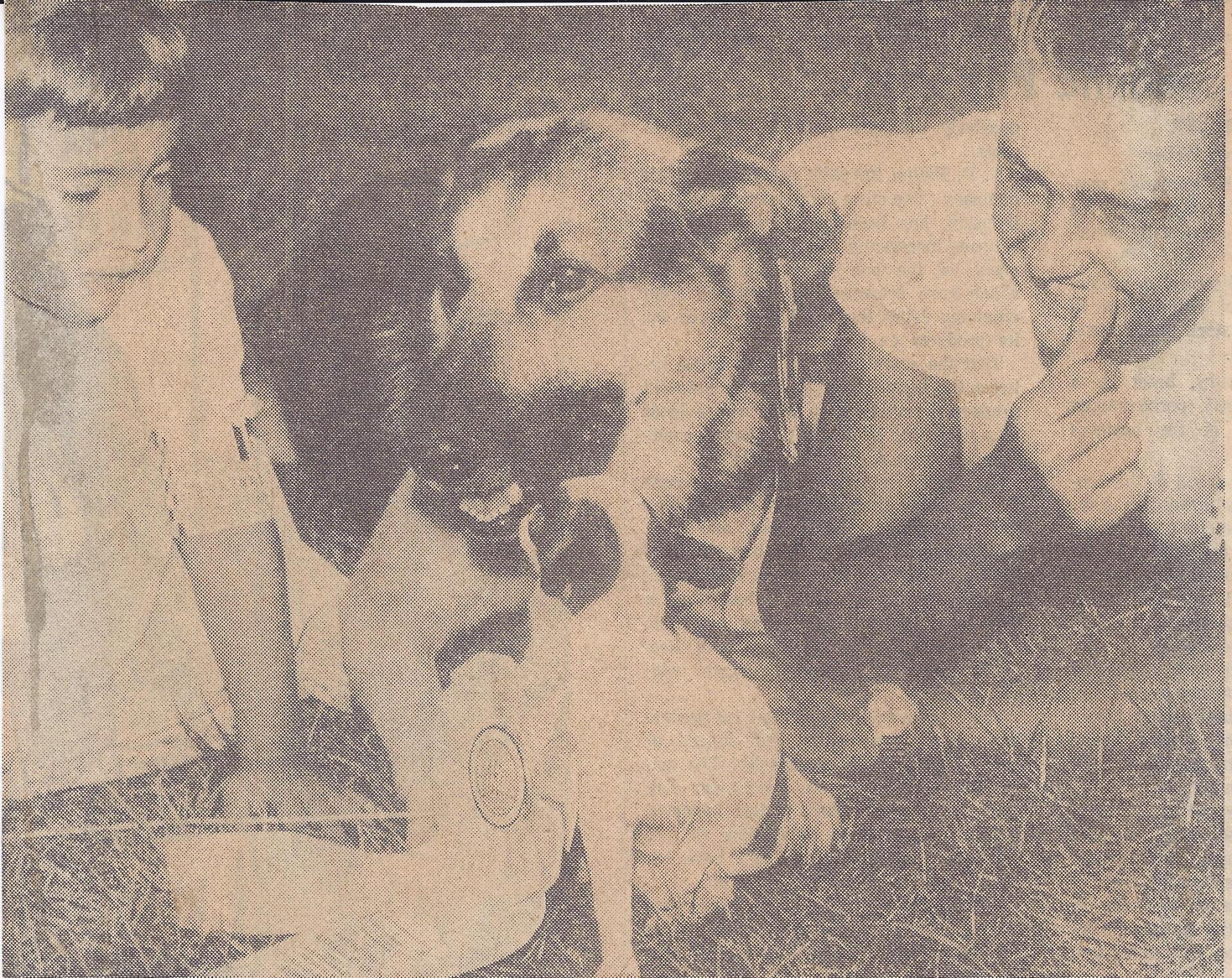 1962 Boys & Girls Club event with a dog show hosted for the community