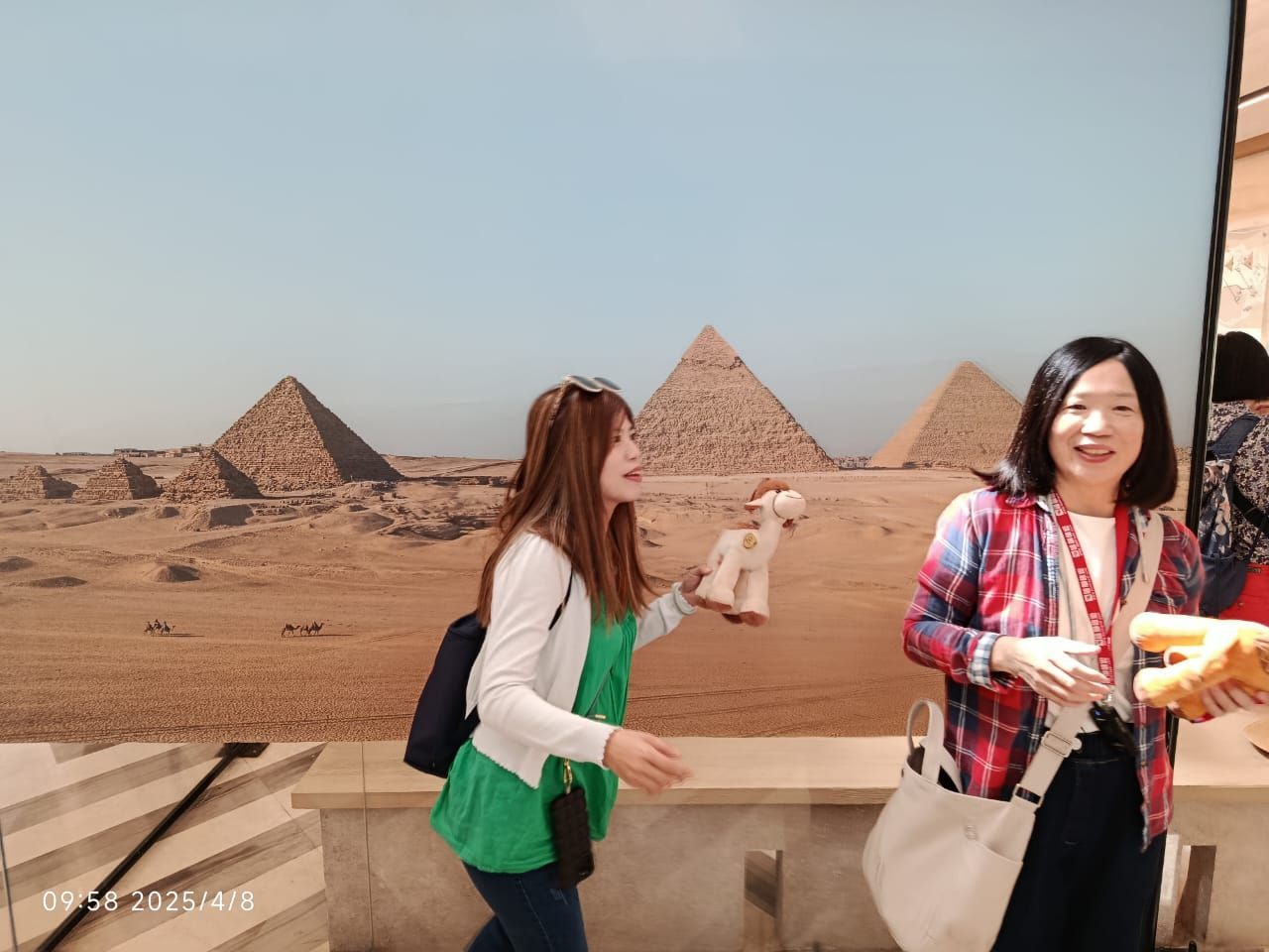 egypt tours vacation , cairo tours and tickets , Egypt tour packages