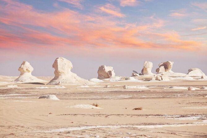 2 day bahariya oasis camp tour  , 2 day bahariya oasis camp tour price , 2 day bahariya oasis camp tour , 2 day bahariya oasis camp tour itinerary , 2 day bahariya oasis camp tour from cairo , bahariya oasis camp tour safari , desert safari egypt , Egypt White Desert Safari Tours , Desert safari egypt tours , Desert safari egypt packages , Cairo desert safari egypt , Best desert safari egypt