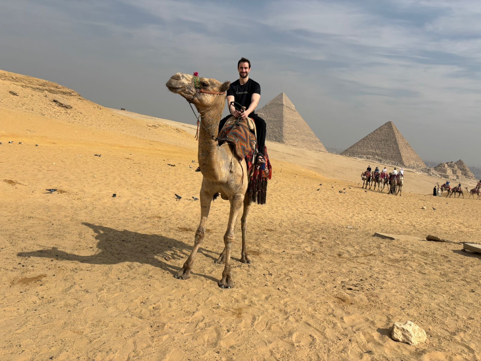 Egypt Tours company , Egypt tours from cairo , Best Egypt tours , Egypt Tours , Luxury Egypt tours , Best egypt tours packages , Cairo egypt tours packages , Egypt tours packages from usa , Egypt tour packages with flights , Affordable Egypt tours , Egypt local tour package , All inclusive Egypt tour packages , best egypt travel packages , Best egypt travel packages all inclusive , Egypt tour packages with flights , All inclusive Egypt tour packages , Best egypt travel packages from usa , Egypt tour packages from Cairo , Best Egypt tour companies , Best Egypt tours , Nile Cruise Luxor Aswan , Nile Cruise Cairo , Luxury Nile Cruise , 7 night Nile cruise , Nile Cruise egypt prices , Best nile cruise egypt , Egypt nile cruise , nile river cruise egypt , nile river cruise , Nile river cruise egypt price , Best nile river cruise egypt, Giza pyramids tour from cairo , Giza pyramids tour packages , Giza pyramids tour cost , Giza Pyramids tickets , Egypt Pyramid tour packages , Egyptian museum cairo , Egyptian Museum ticket price , Grand Egyptian Museum ticket price , Egypt day tour packages , cairo day tour packages , Best egypt day tour , Cairo day Tours , Cairo day Tours from airport , Luxury Cairo day tours , 3 day Cairo Tour , Cairo Tours Packages ,Best cairo day tours from airport , Cairo Day Trip from Airport , Cairo Pyramid tour from airport