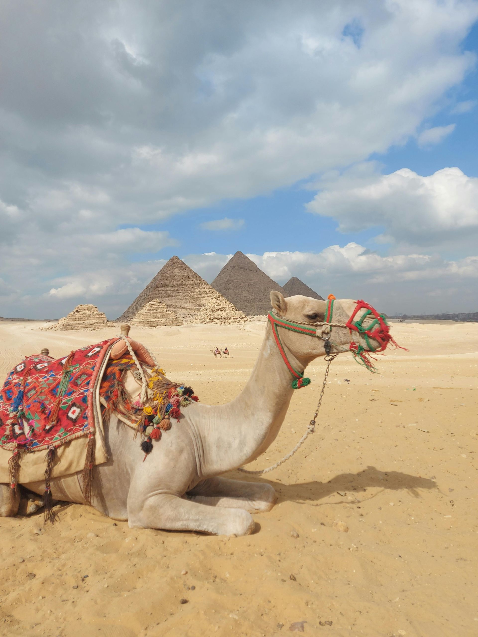 1 Day Cairo Tour package