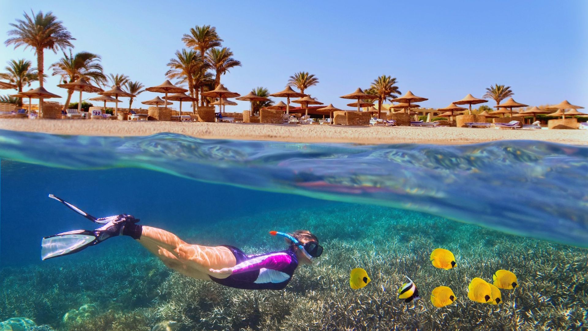 egypt tours red sea