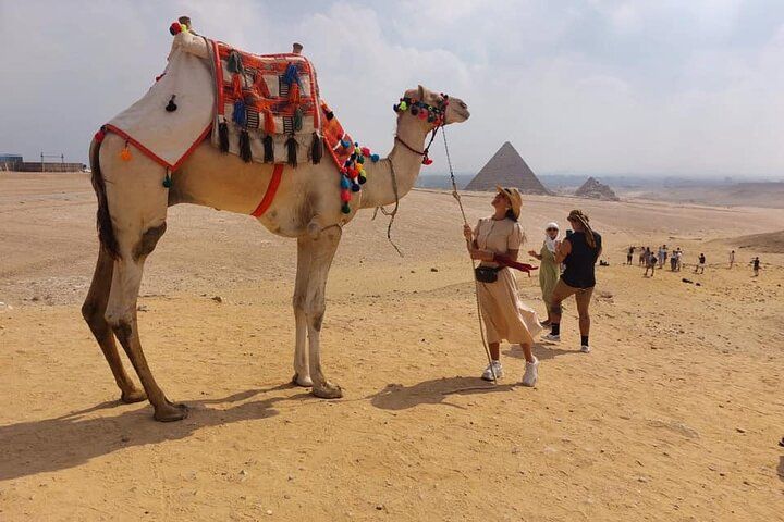 1 Day Cairo Tour package , Cairo Full Day Tours , Cairo day Tours from airport , Cairo day Tours from airport , Best day trips from Cairo , Day trip from Cairo to Alexandria , Full-day Cairo Tour , Cairo city tour itinerary , Cairo city tours , Cairo private Tours , Pyramids day tour , Best day trips from Cairo