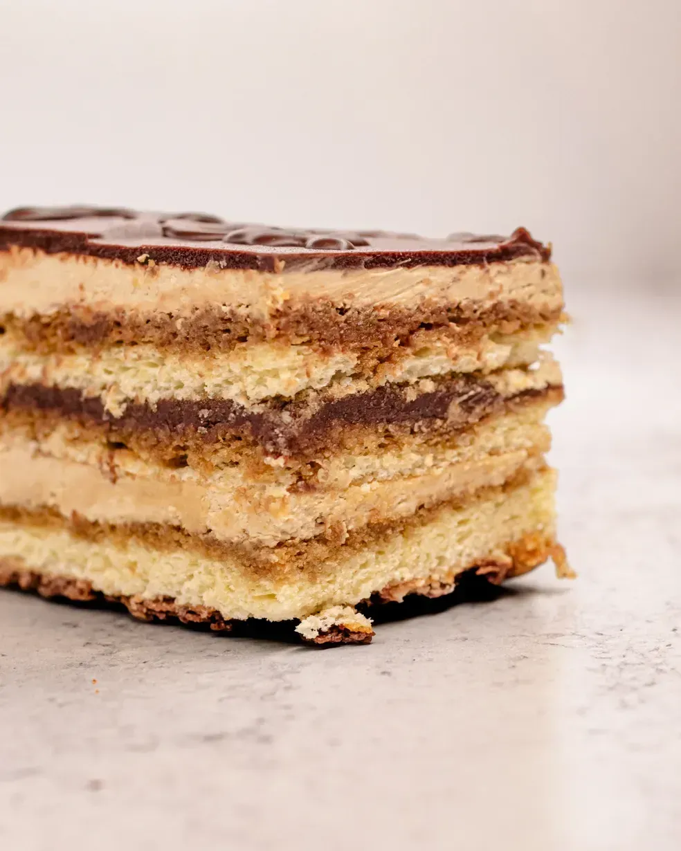 Slice of layered cake with chocolate ganache topping.