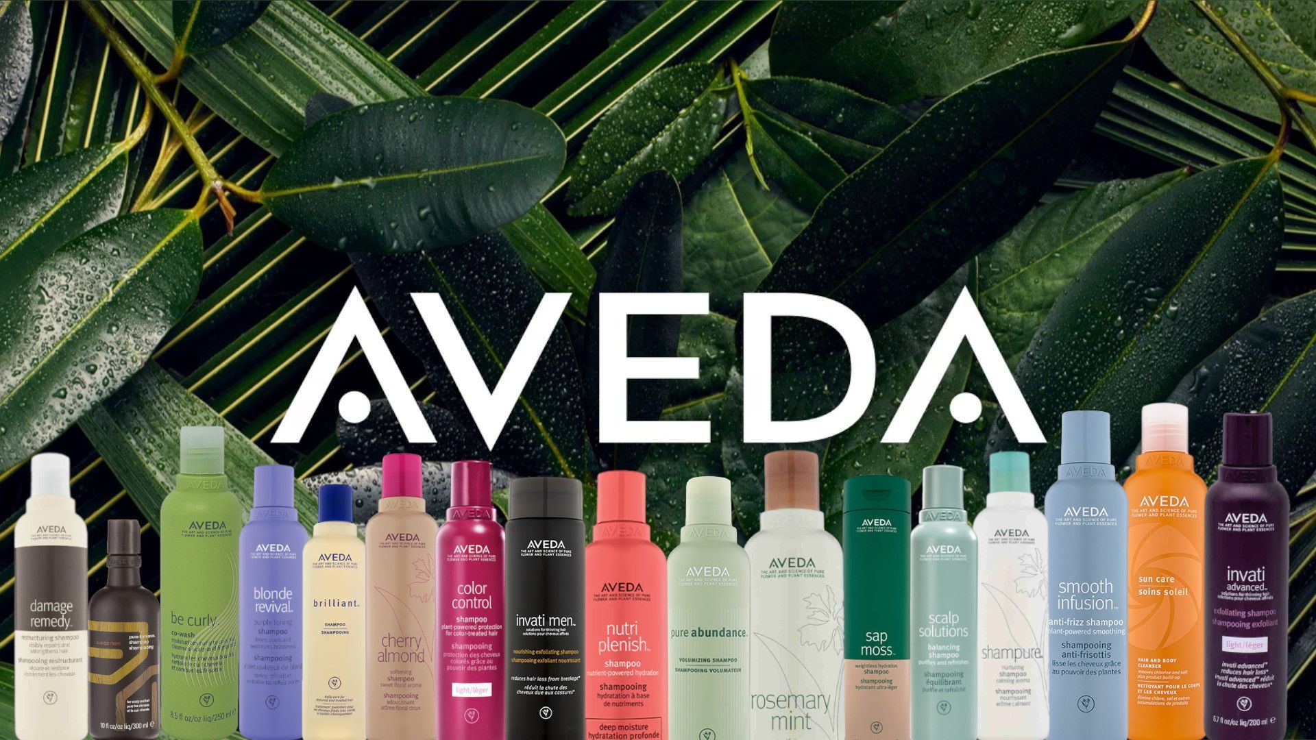 Aveda Shampoo - Gisella Bernasconi Parrucchieri Riccione