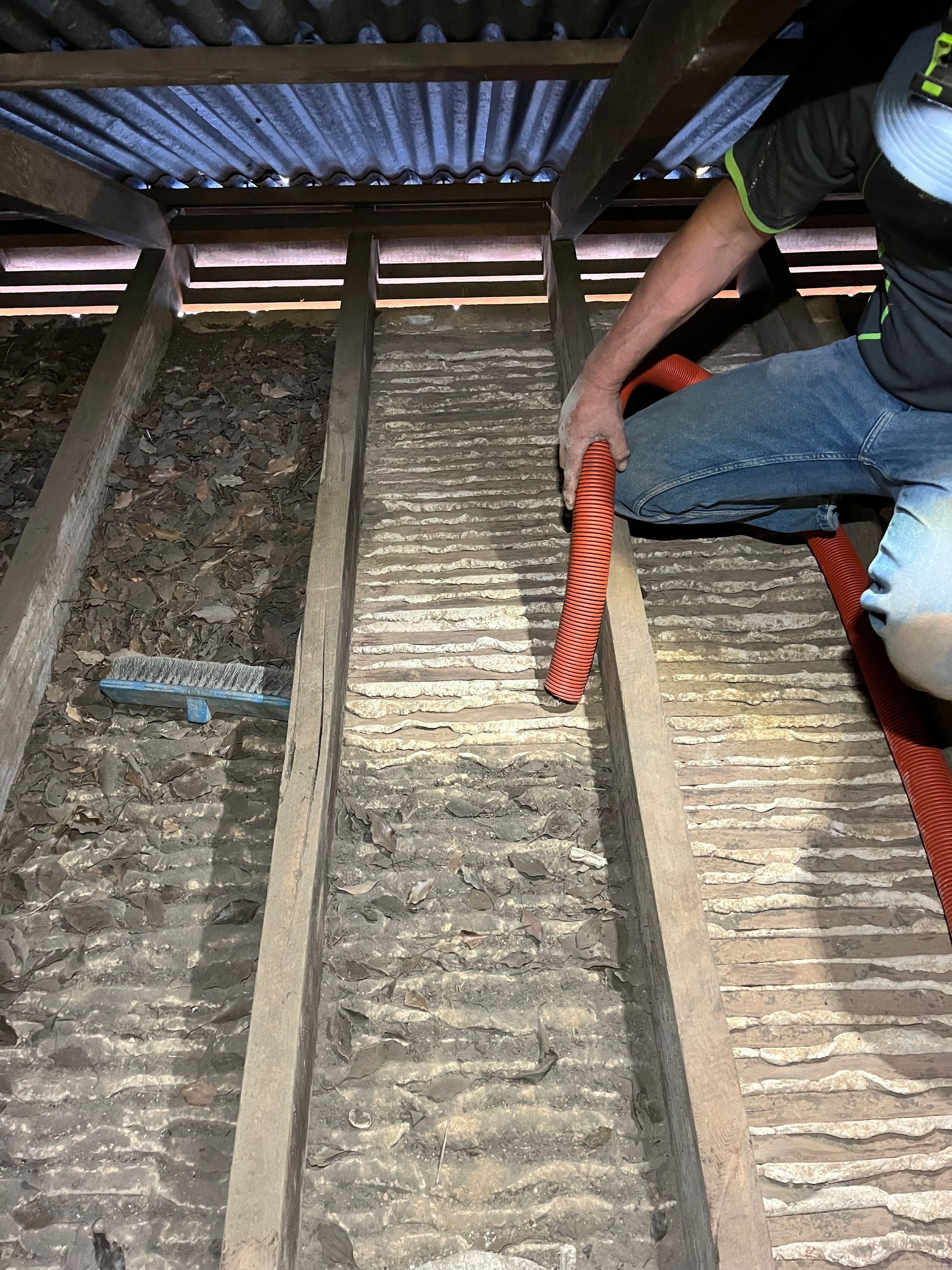 Close up of an area within the roof that has been vacuumed compared to an area that has not.