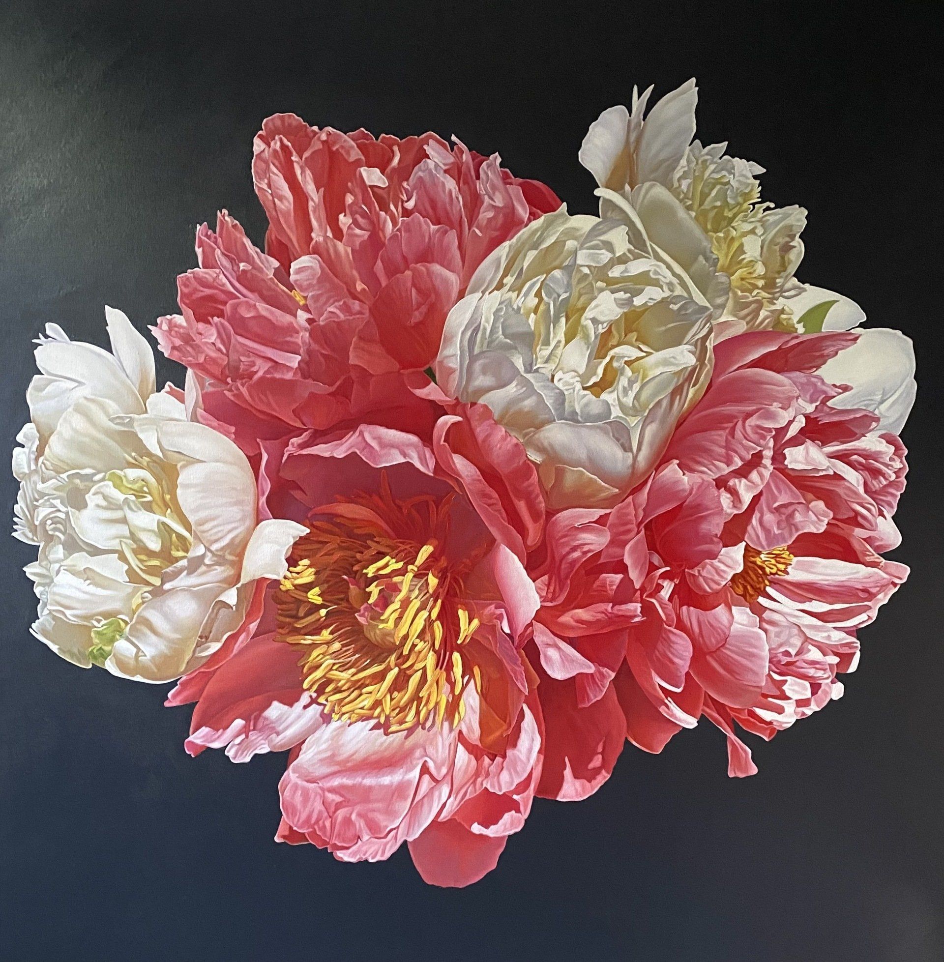 A bunch of pink and white flowers on a black background