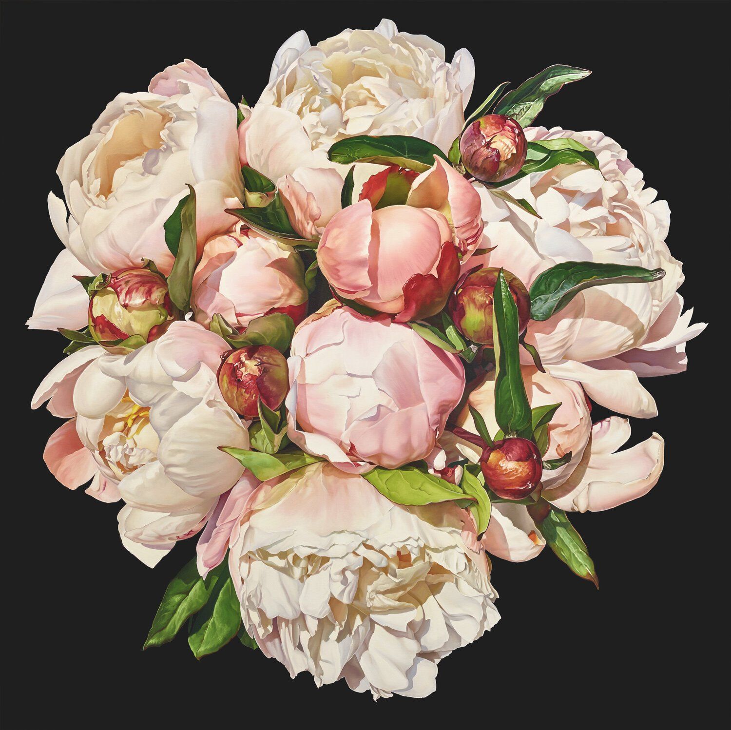 A painting of pink and white peonies on a black background