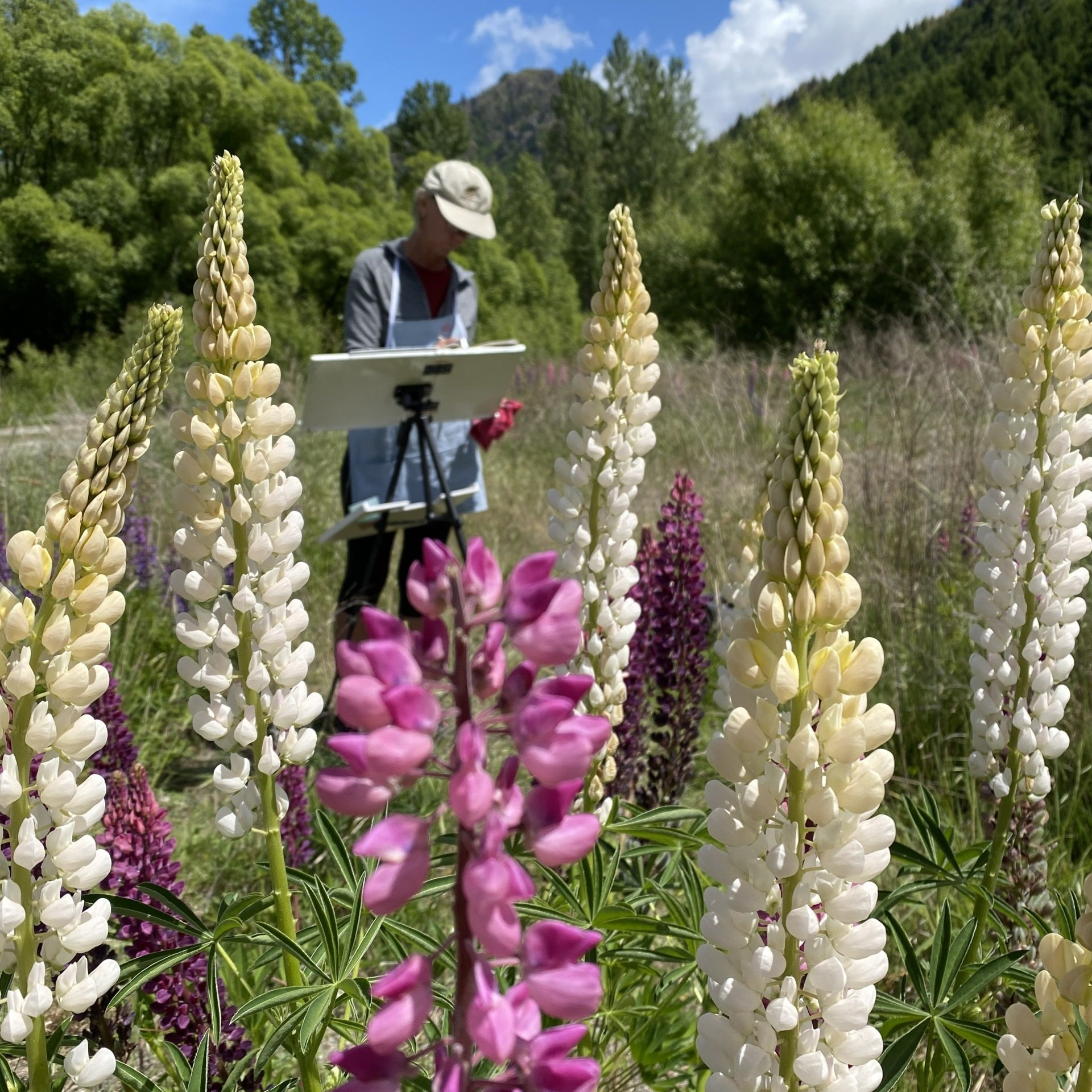 A man is painting flowers in a field.