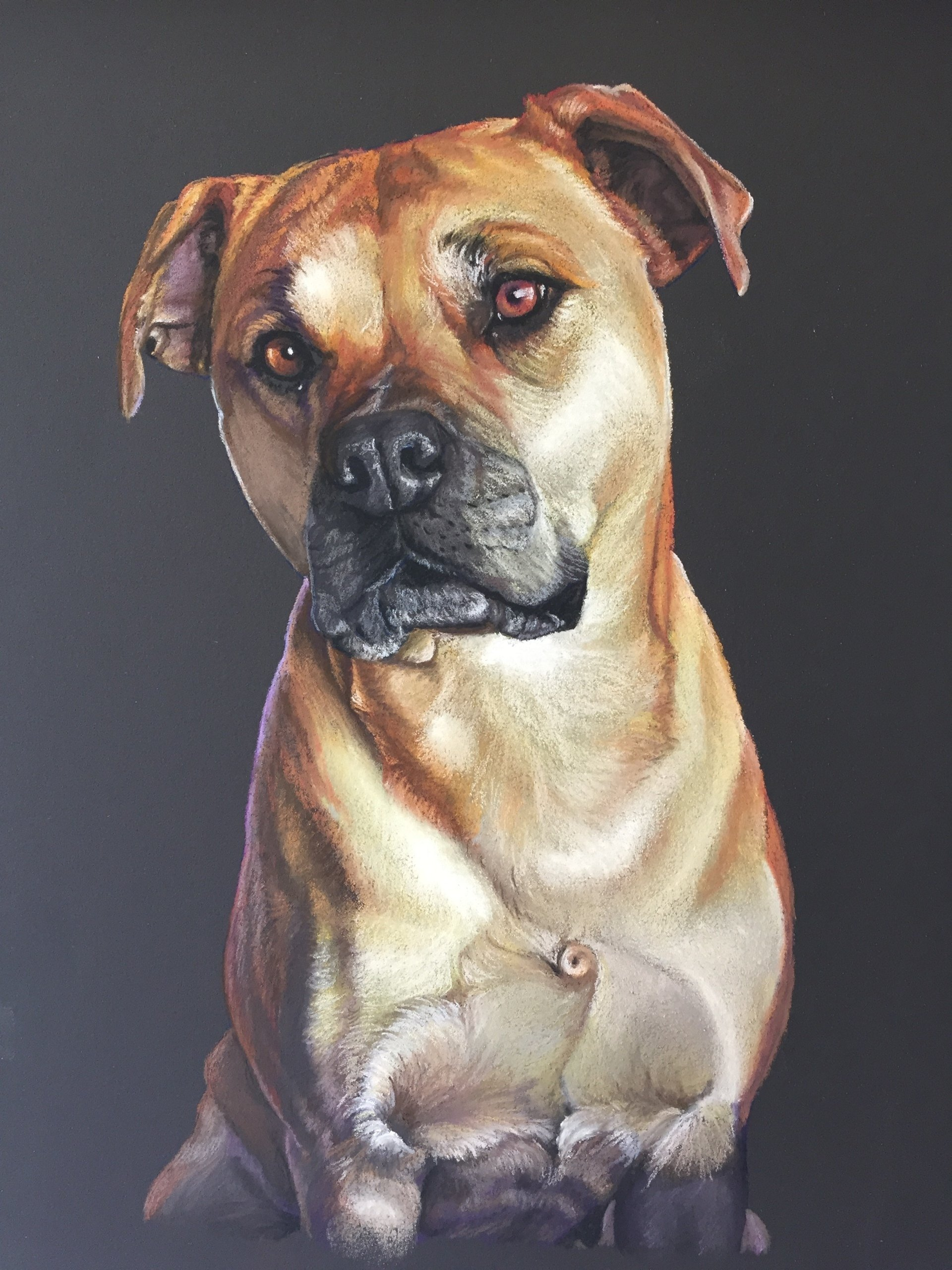 A painting of a brown dog on a black background